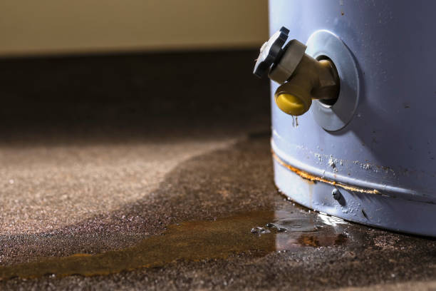 Best Flood damage cleanup  in Lake Arrowhead, ME