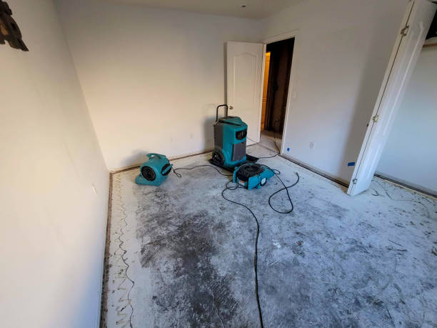 Reliable Lake Arrowhead, ME Water damage restoration Solutions
