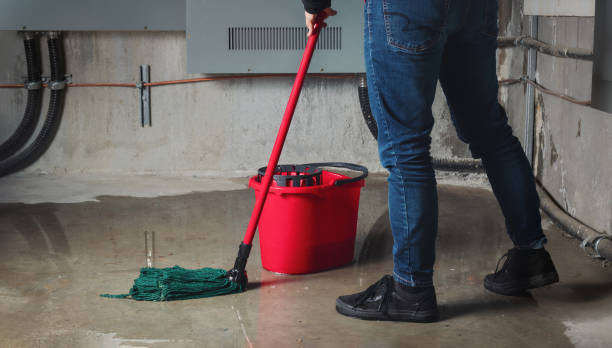 Best Water damage restoration process  in Lake Arrowhead, ME
