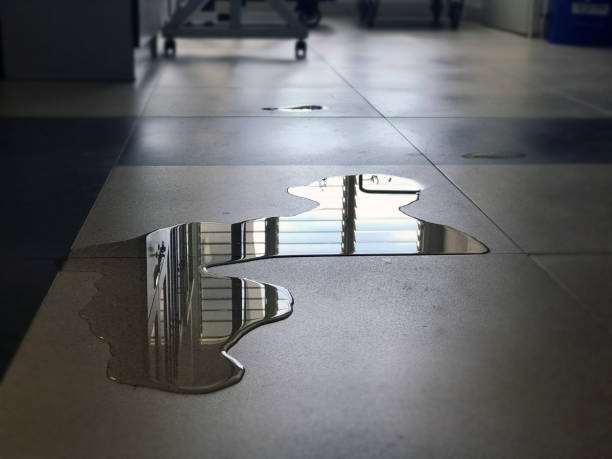 Best 24-hour water damage restoration  in Lake Arrowhead, ME