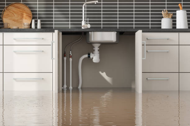Best Flooded house restoration  in Lake Arrowhead, ME