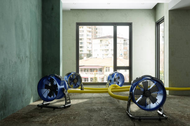 Best Flood restoration services  in Lake Arrowhead, ME