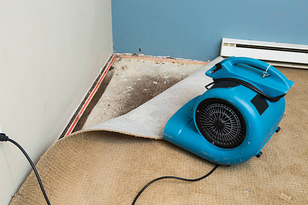 Best 24/7 water damage repair  in Lake Arrowhead, ME